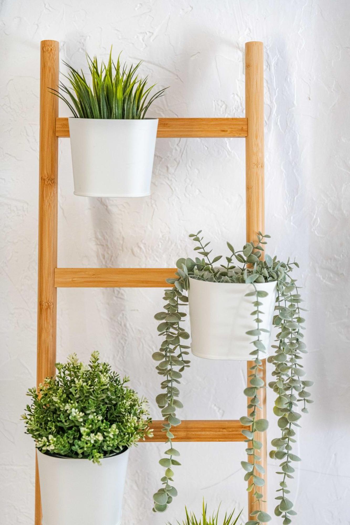 Copenhagen Cottage 솔방 외부 사진